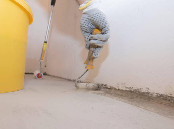 Best Pest Prevention Services  in Lam, AR